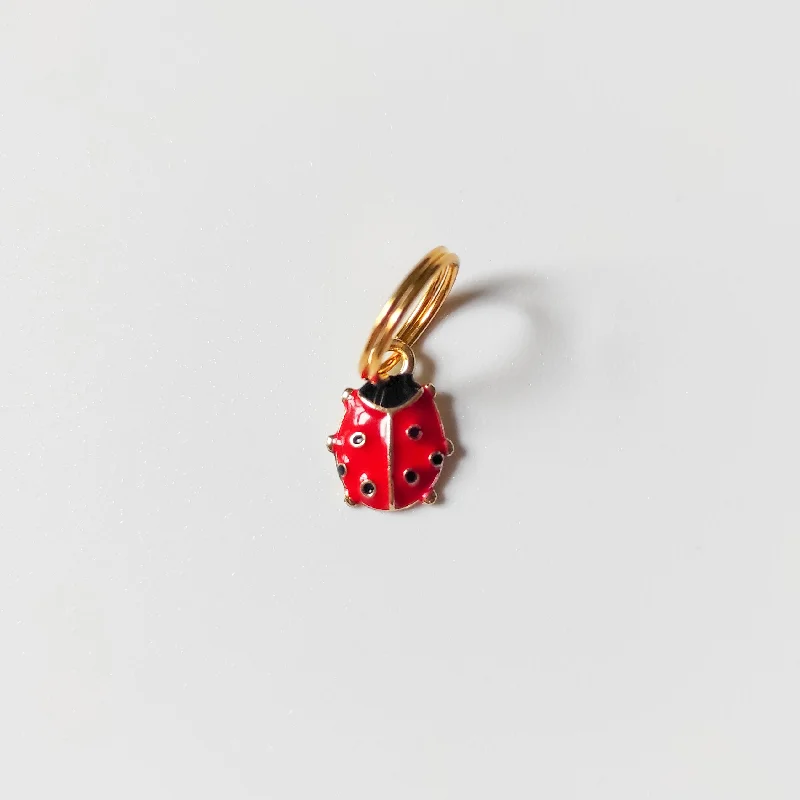  . **Cat backpack space capsule**Ladybird Charm