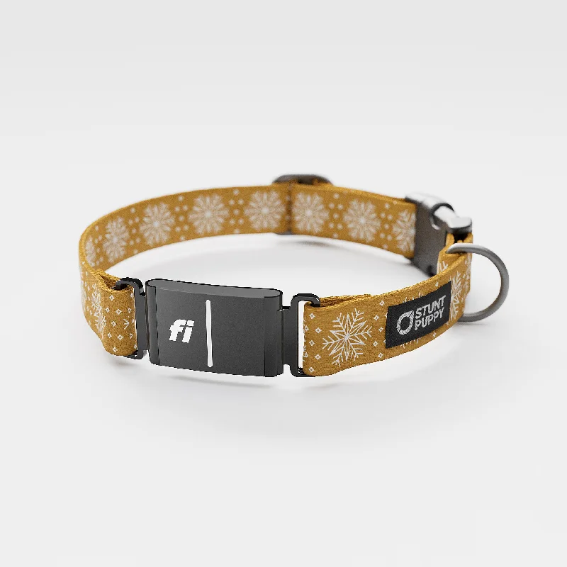  . **Pet toys are bite-resistant and wear-resistant**Fi-Ready Holiday Gold Flake Everyday Collar