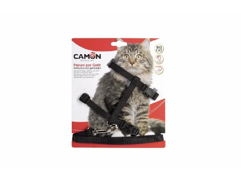 - Pet monitor with cameraHarness And Leash Big Cats