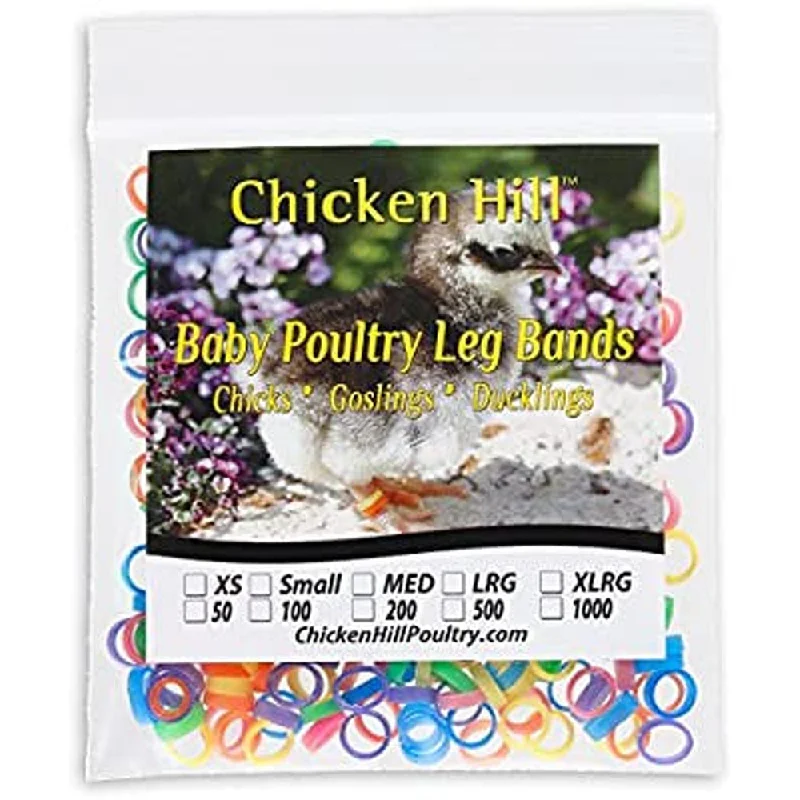 ---Chicken Hill Leg Bands - X Large 100 Pack